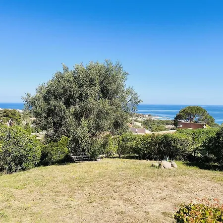 Cocody 215 Lumio (Corsica)