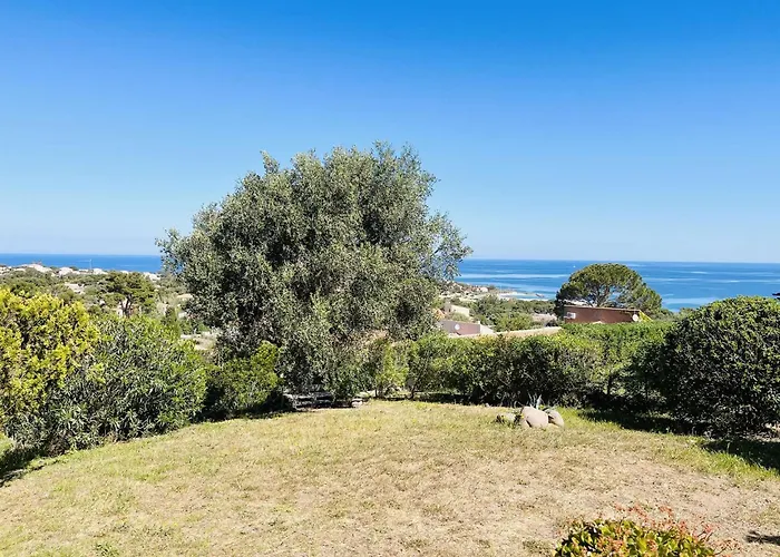 Cocody 215 Lumio (Corsica)